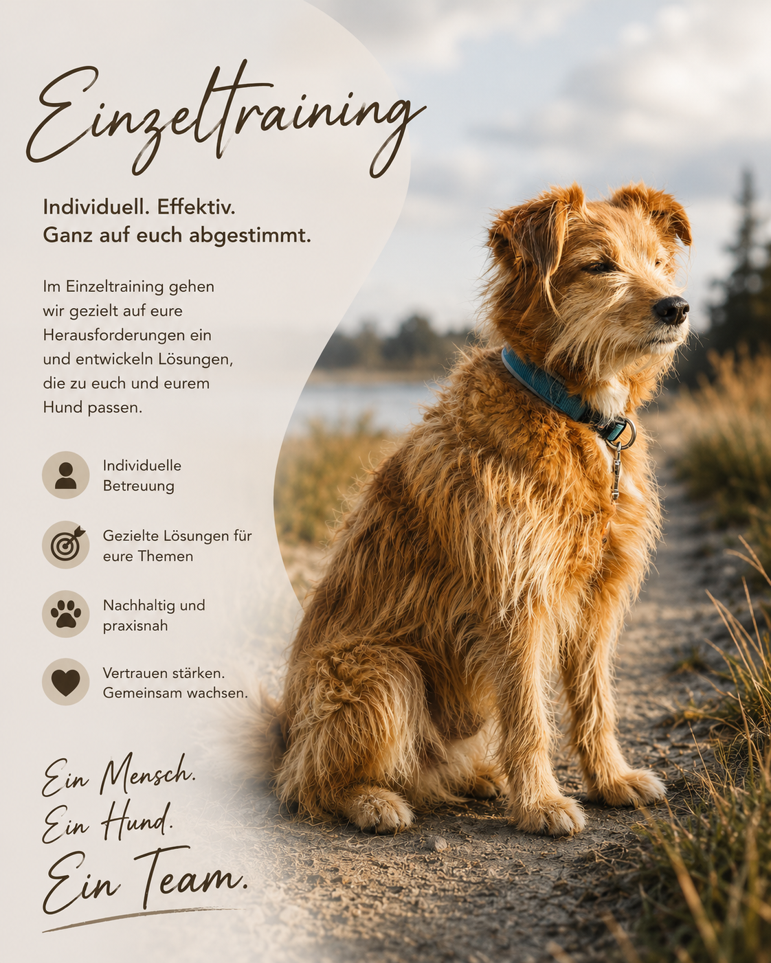 Einzeltraining – persönliche Begleitung beim Hundetraining
